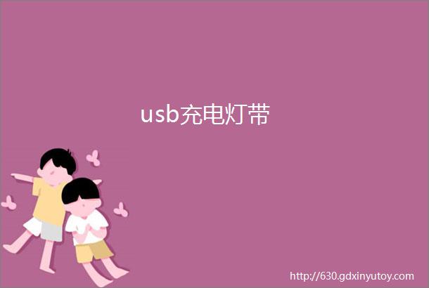 usb充电灯带