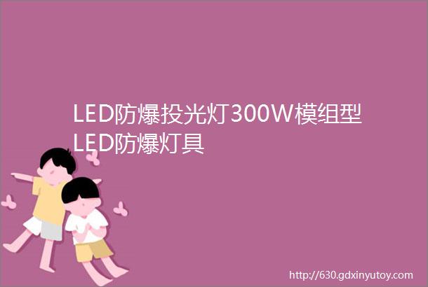 LED防爆投光灯300W模组型LED防爆灯具