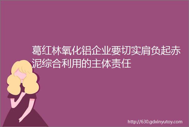 葛红林氧化铝企业要切实肩负起赤泥综合利用的主体责任