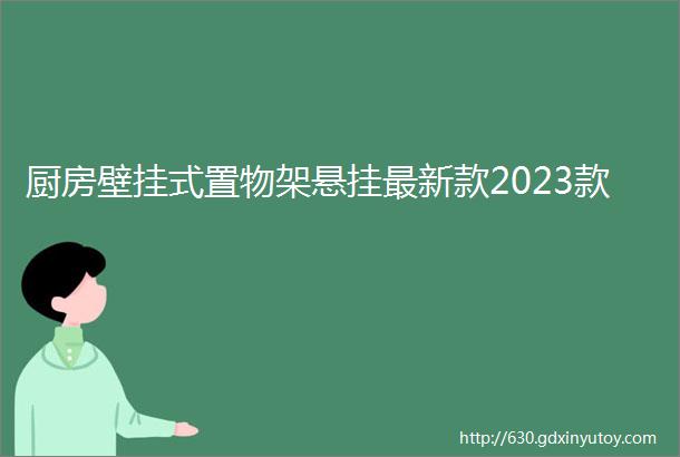 厨房壁挂式置物架悬挂最新款2023款