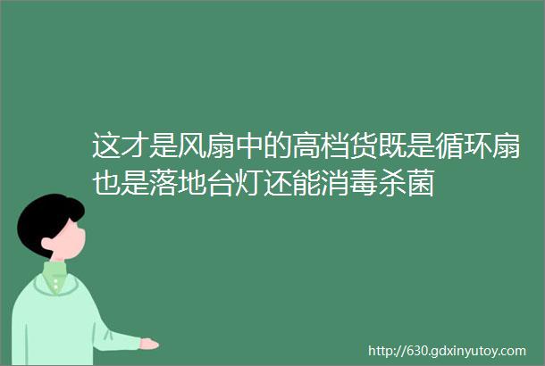 这才是风扇中的高档货既是循环扇也是落地台灯还能消毒杀菌