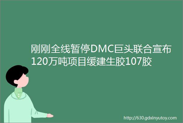 刚刚全线暂停DMC巨头联合宣布120万吨项目缓建生胶107胶会大涨吗