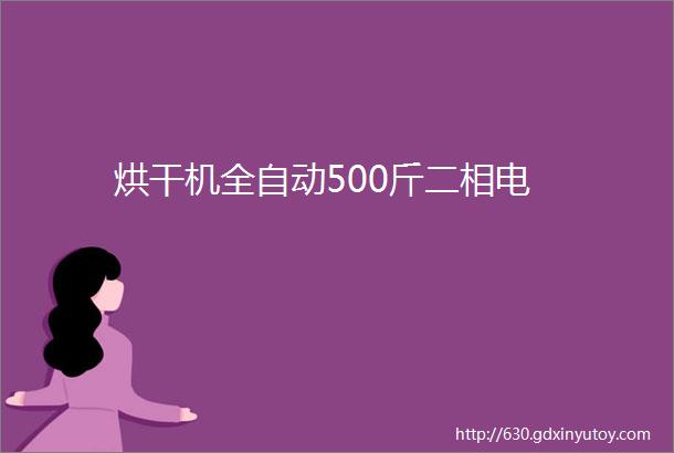 烘干机全自动500斤二相电