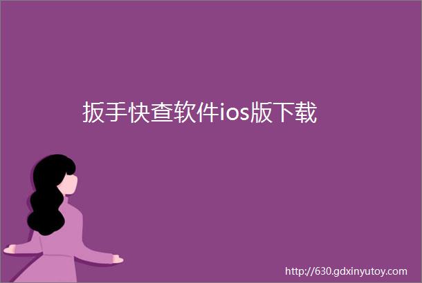 扳手快查软件ios版下载