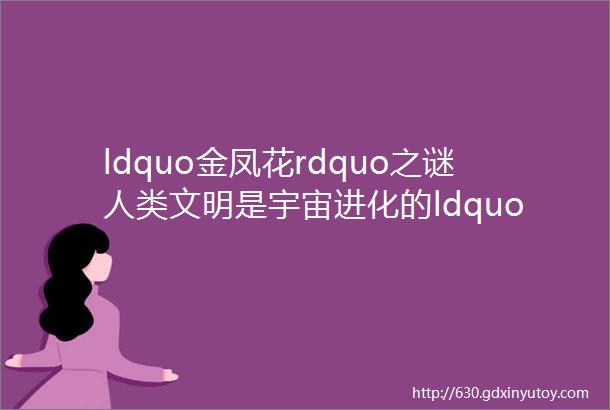 ldquo金凤花rdquo之谜人类文明是宇宙进化的ldquo巧合rdquo还是ldquo神rdquo的设计