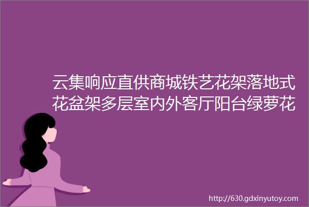 云集响应直供商城铁艺花架落地式花盆架多层室内外客厅阳台绿萝花架子567号