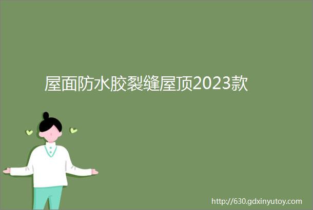 屋面防水胶裂缝屋顶2023款