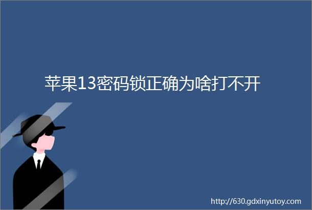 苹果13密码锁正确为啥打不开