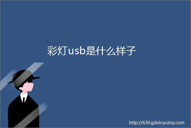 彩灯usb是什么样子