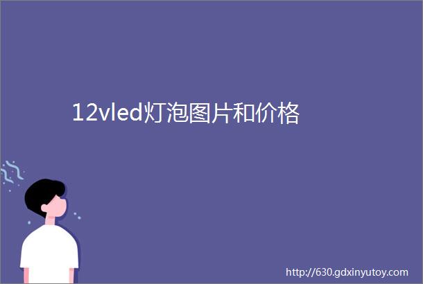 12vled灯泡图片和价格