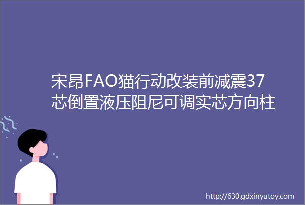 宋昂FAO猫行动改装前减震37芯倒置液压阻尼可调实芯方向柱