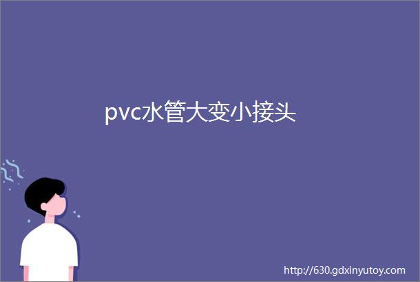 pvc水管大变小接头