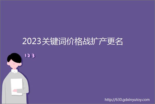 2023关键词价格战扩产更名